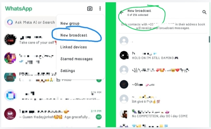 WhatsApp Broadcast 