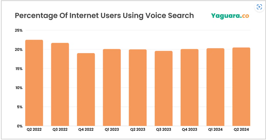 voice search statistics